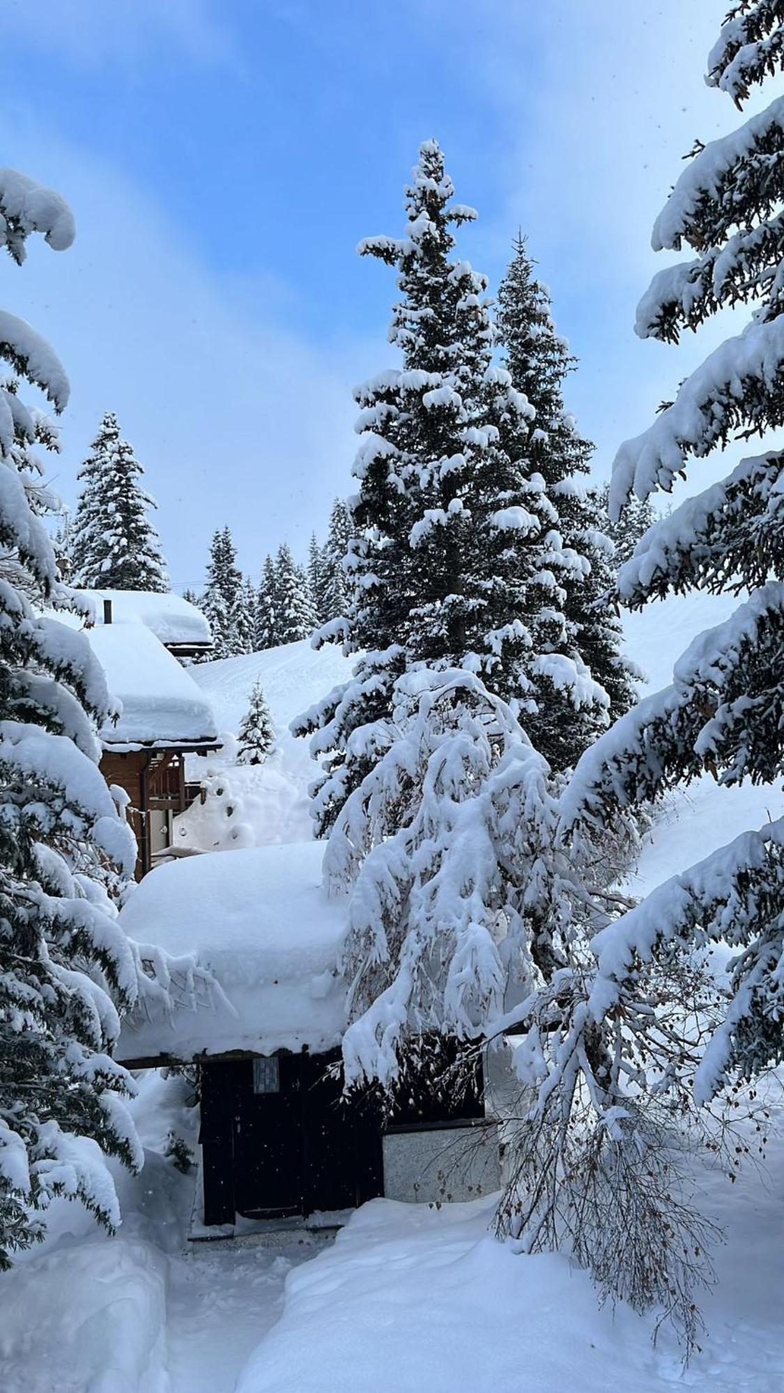 Chalet Baur Arosa Ngoại thất bức ảnh